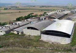 logo comitato salute e territorio